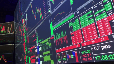 Screen5.gif
