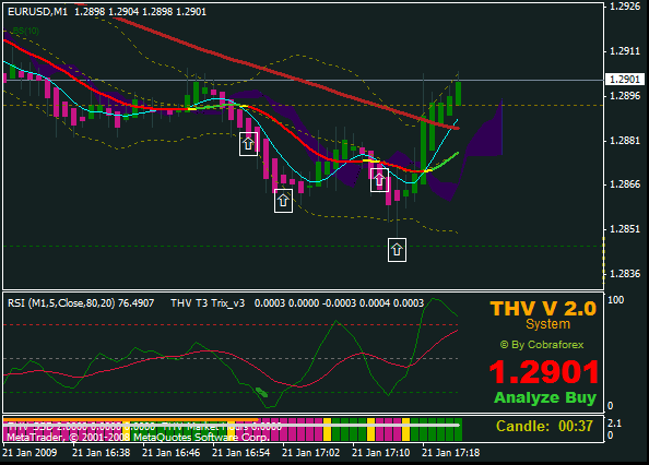 thv 24.gif