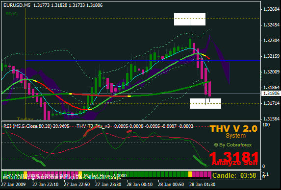 thv 24.gif