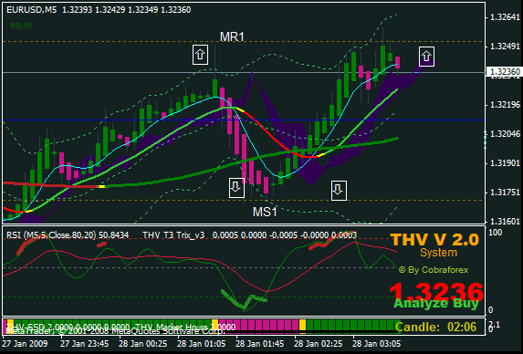 thv 24.gif
