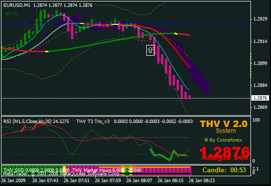 thv 24.gif