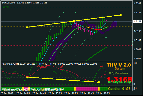 thv 24.gif