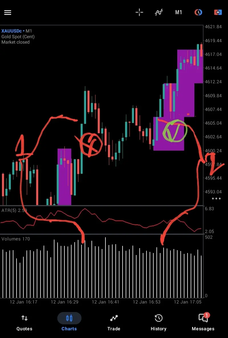 Screenshot_20260315-175024_MetaTrader 5.jpg