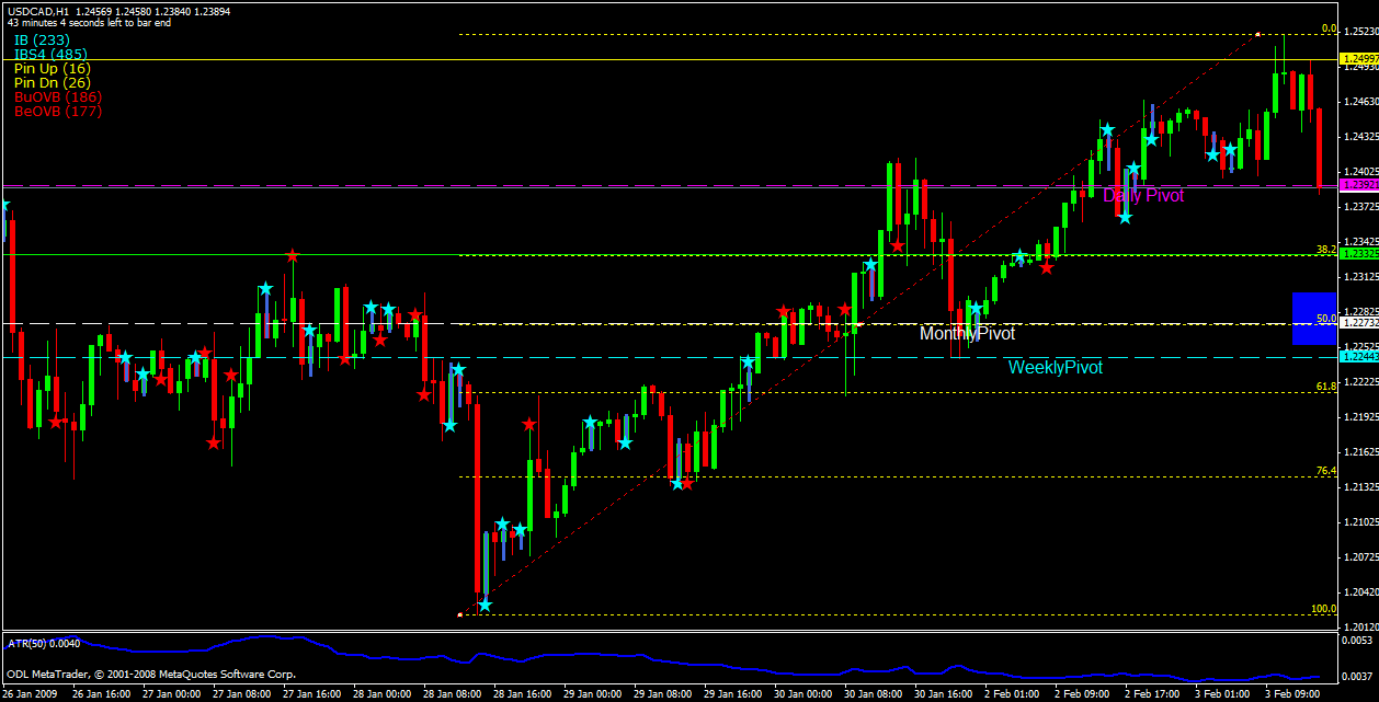cad scalp.gif