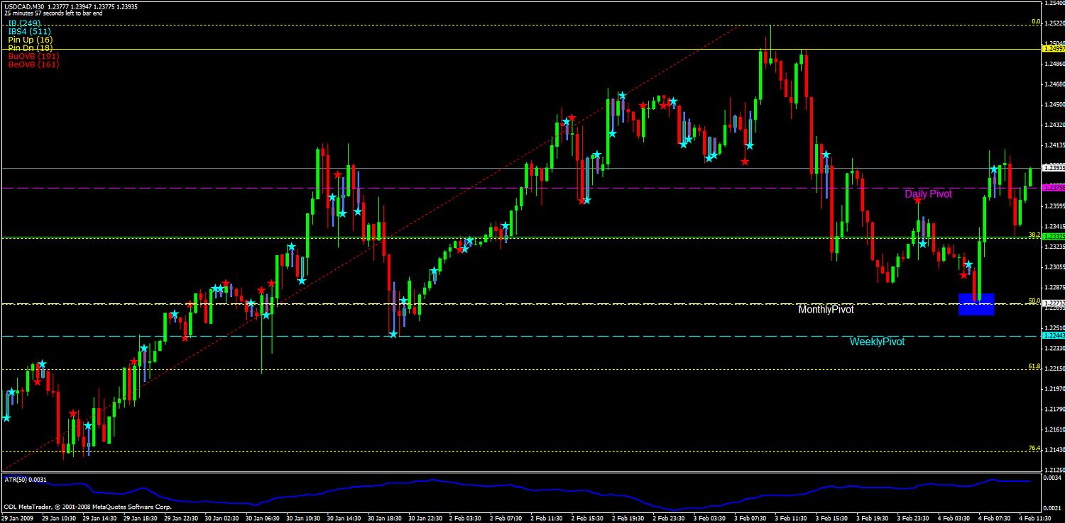 cad scalp 2.jpg