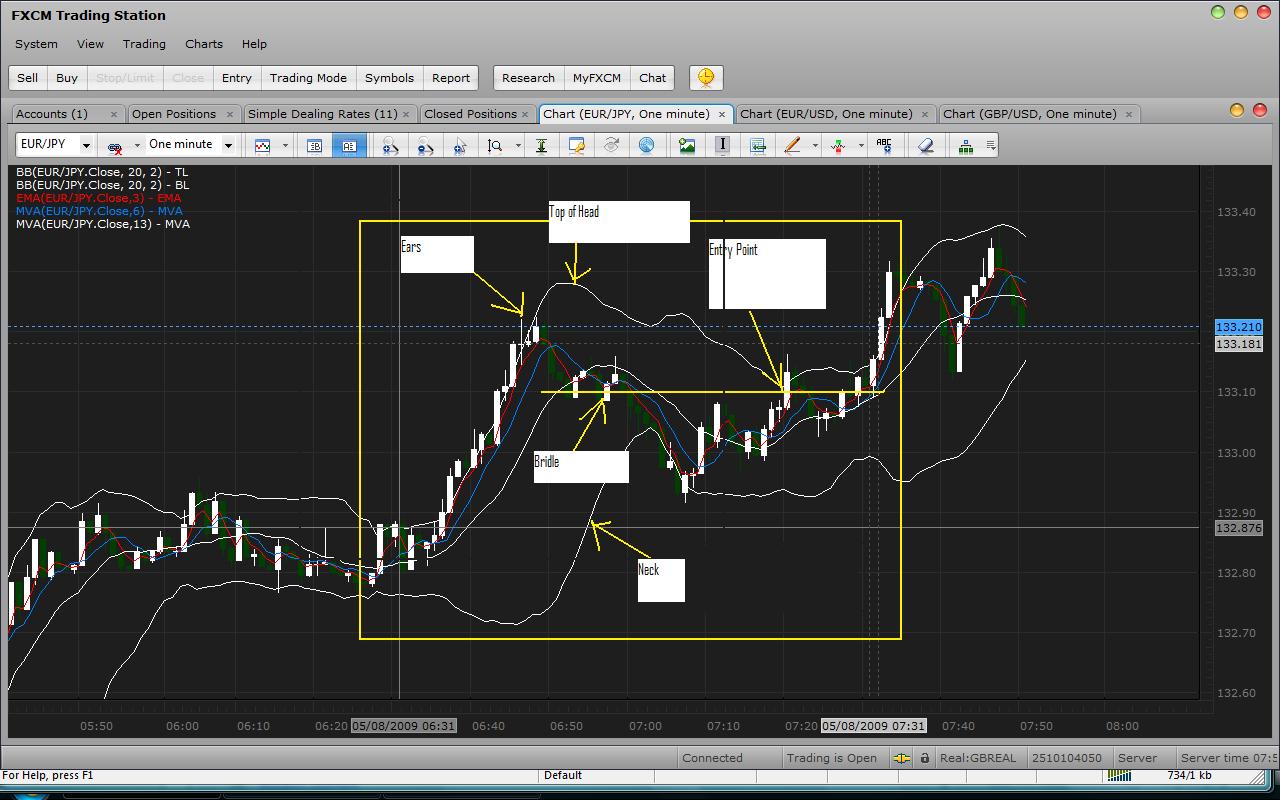 Camel_Pattern.jpg