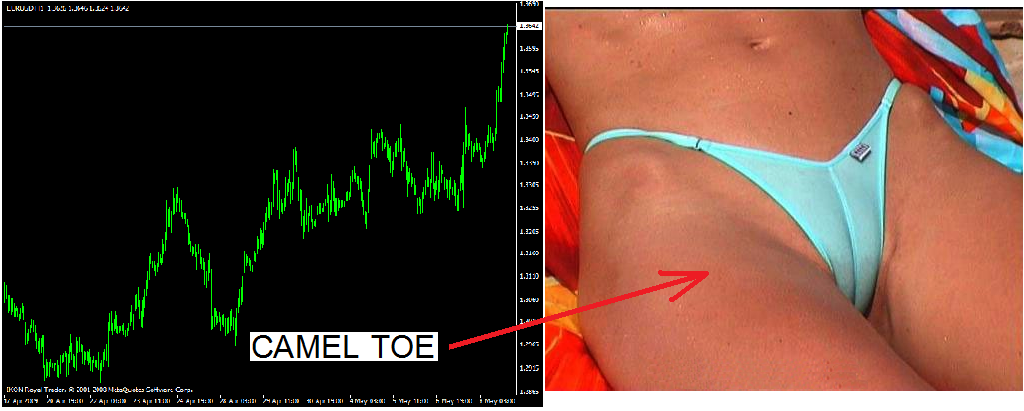 cameltoe.png