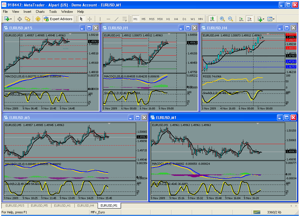 euro.gif