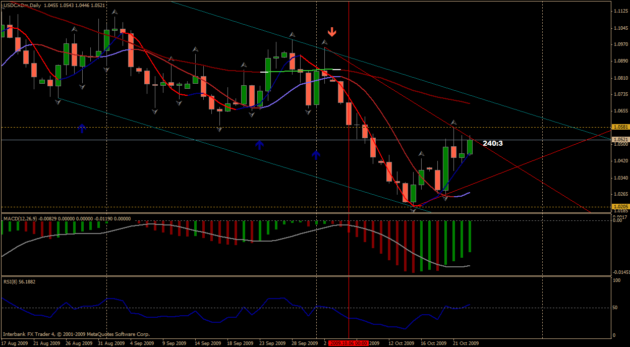 usdcad daily.gif