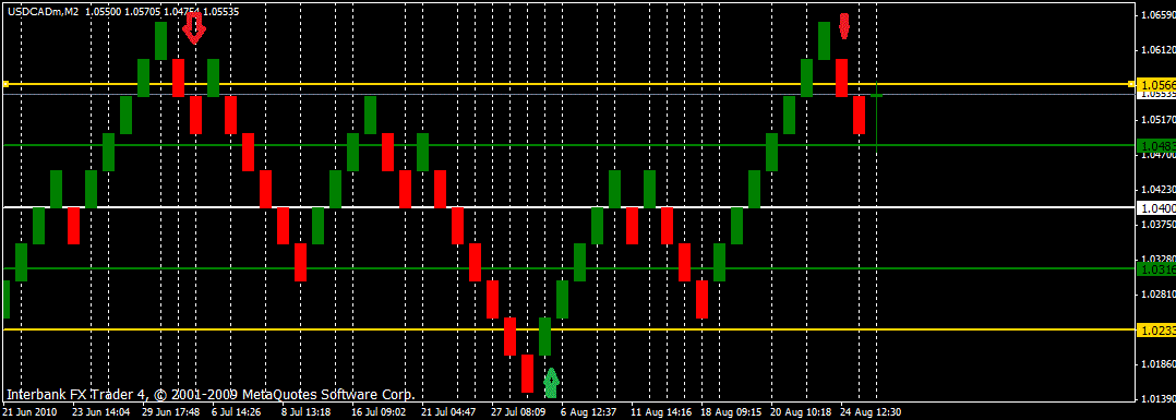 renko usdcad2.gif