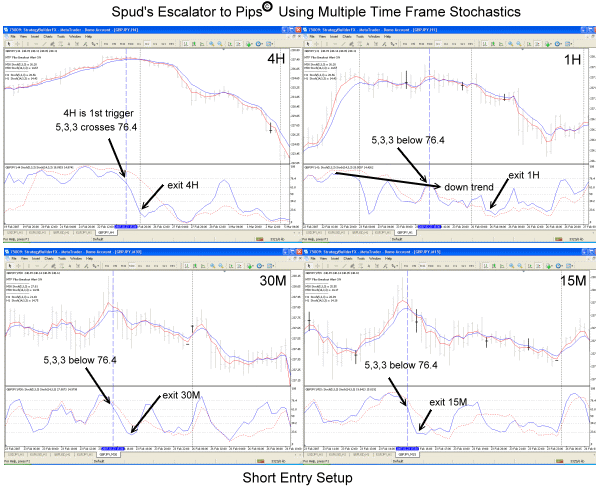 MTFS Escalator to Pips.gif