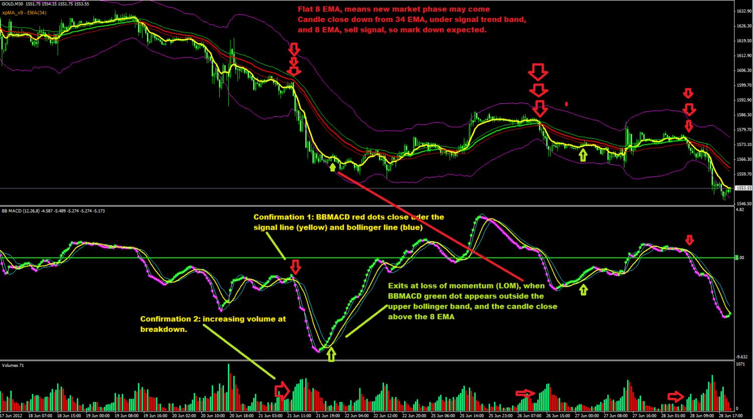 rh+_gold_m30_0628.jpg
