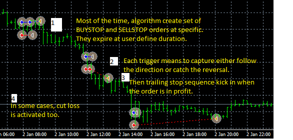 forex1.png