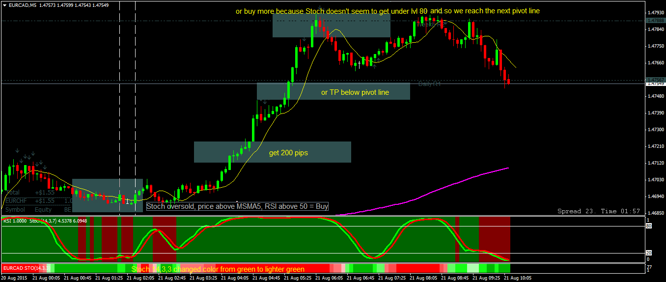 eurcad-m5-hf-markets-ltd-3.png