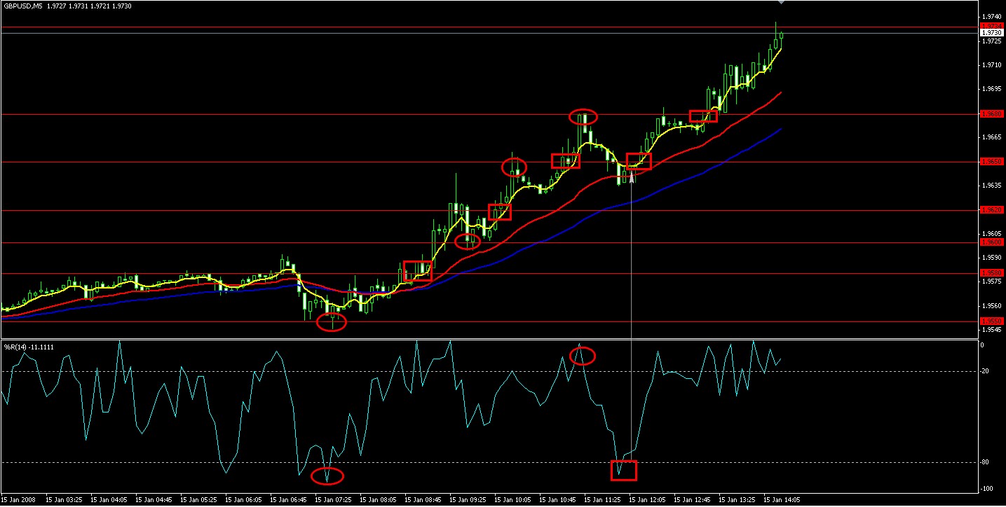 5M chart.jpg