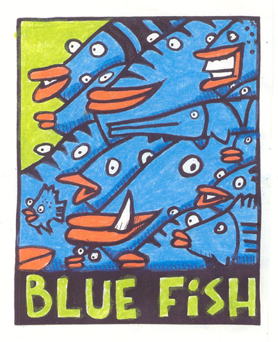 bluefish_wl.jpg