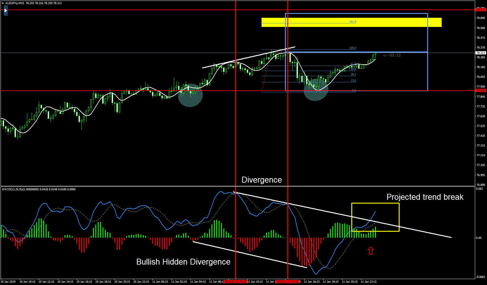 audjpyp-m15-black-bull-group-5.png