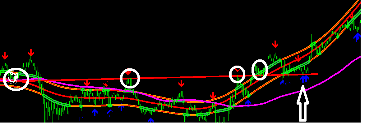 scalp.png