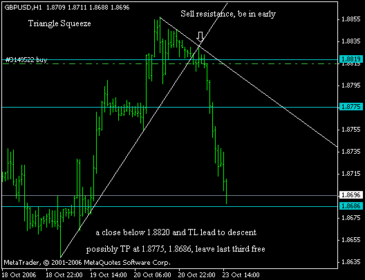 cable_with_tl_and_breakouts.gif