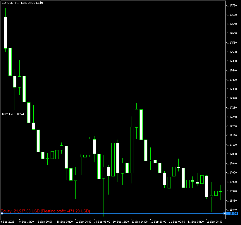 Example of the equity line display for a single EUR/USD position and a negative price change