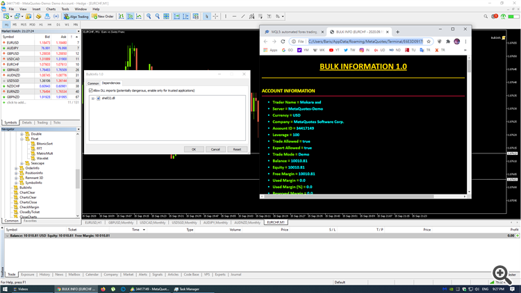 Bulk Information 1.0 - script for MetaTrader 5