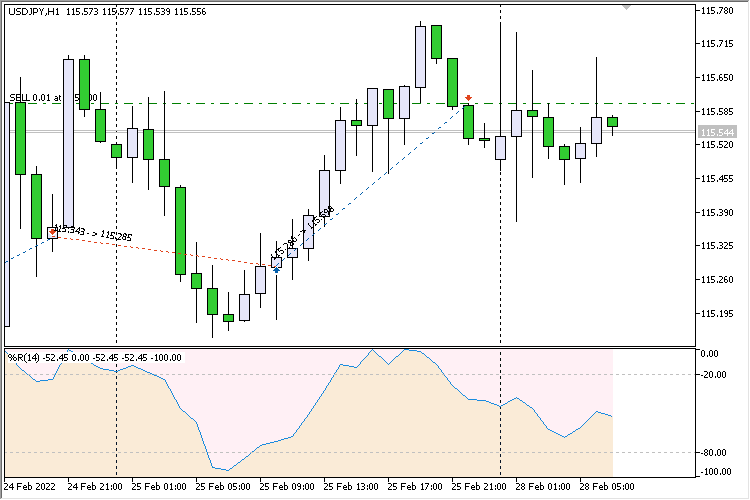 WPR Custom Cloud Simple - expert for MetaTrader 5