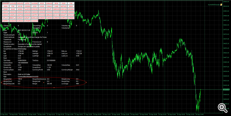 SymbolInfo example script Enhancement with margin and leverage data - script for MetaTrader 5
