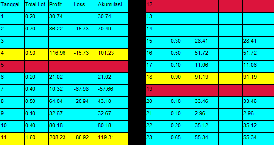 Daily Balance Sheet - indicator for MetaTrader 4