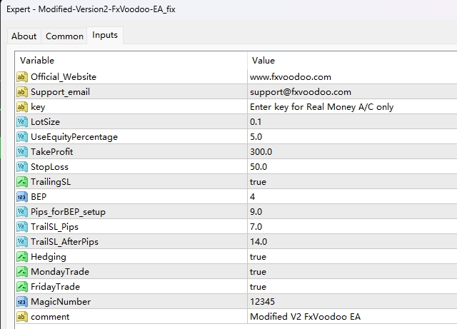 修改版本2-FxVoodoo-EA_fix 截图