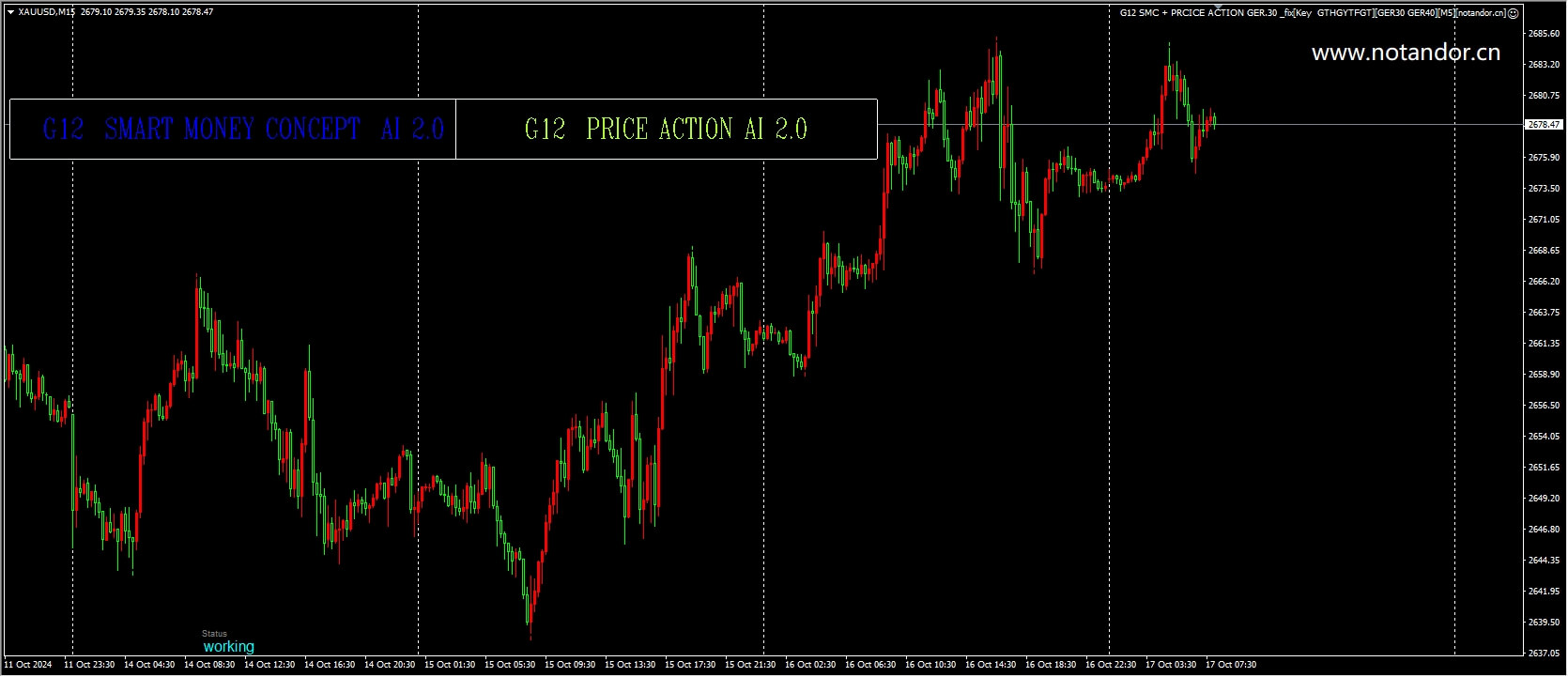 G12 SMC + PRCICE ACTION GER.30 _fix[密钥 GTHGYTFGT][GER30 GER40][M5] 截图