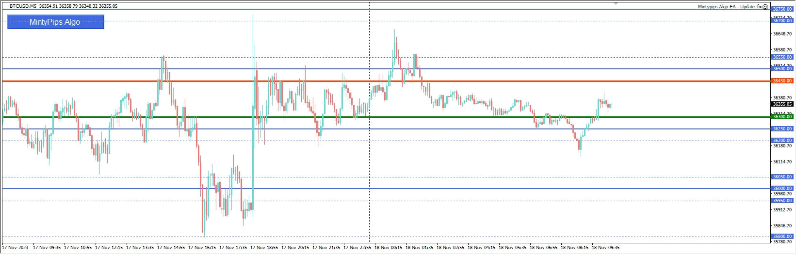 Mintypips Algo EA 截图