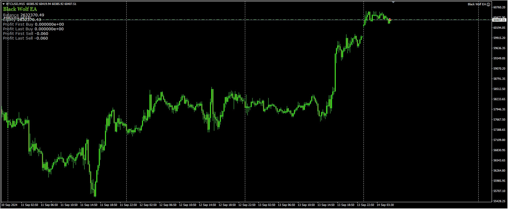 黑狼EA[XAUUSD][H1] 截图