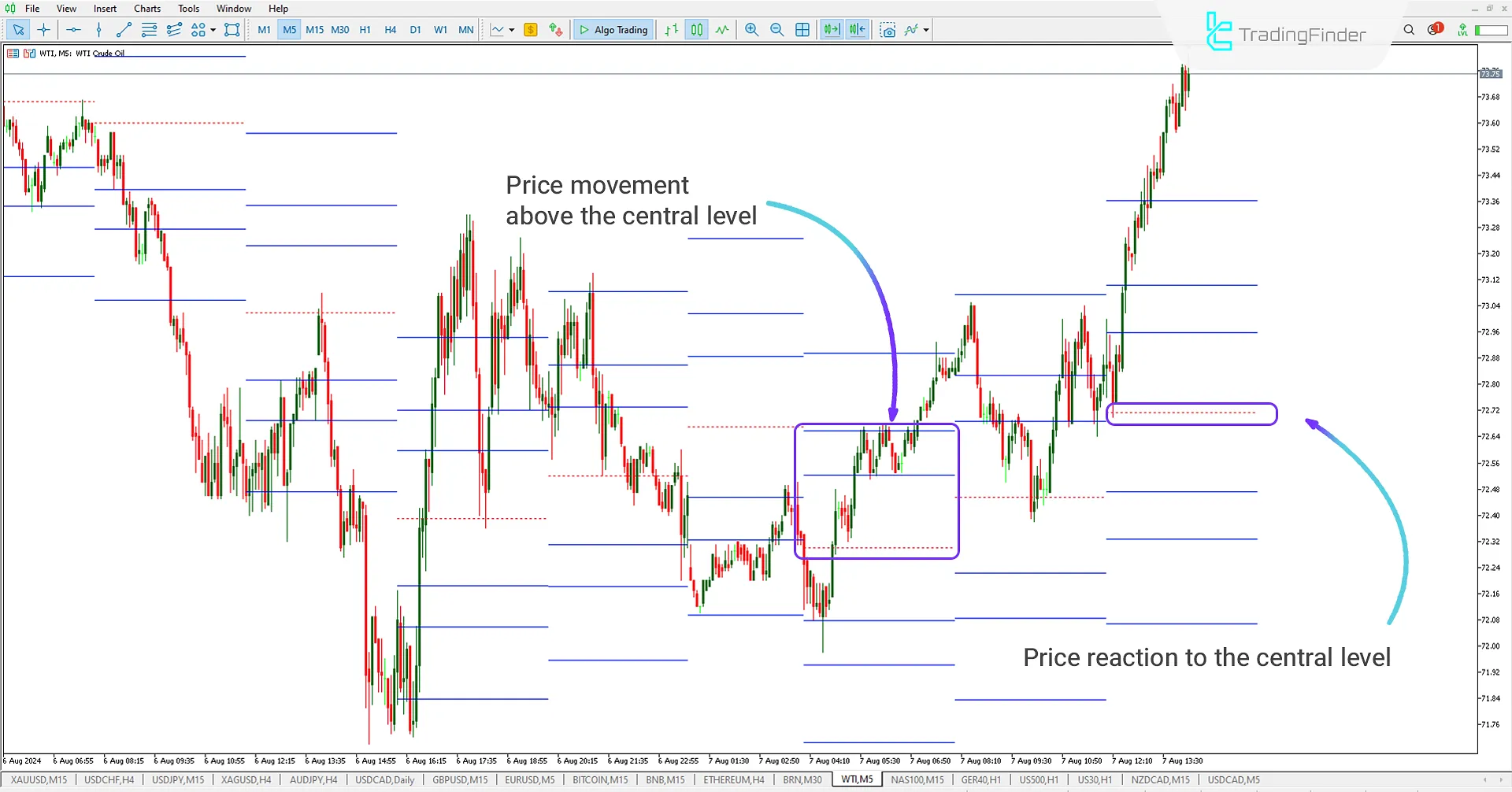 Price Movement Above the Central Level MT5