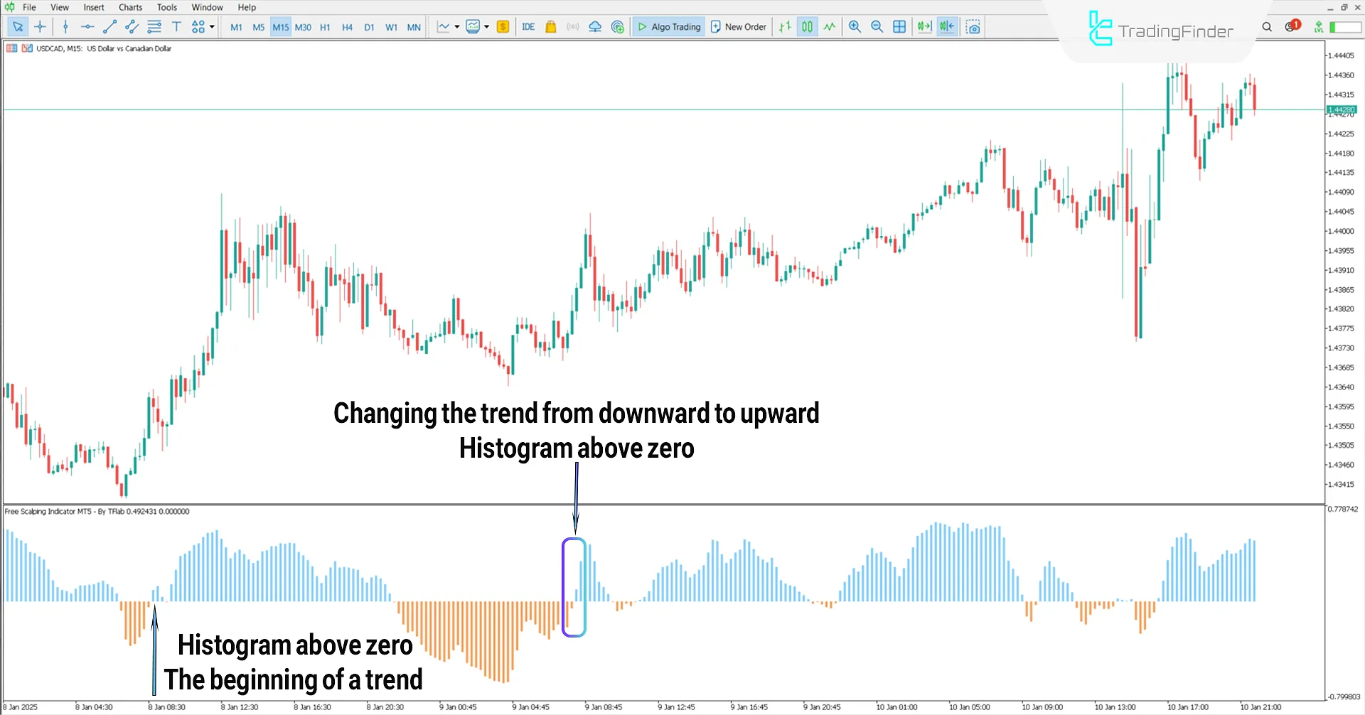 Bullish Trend in the Scalping Indicator