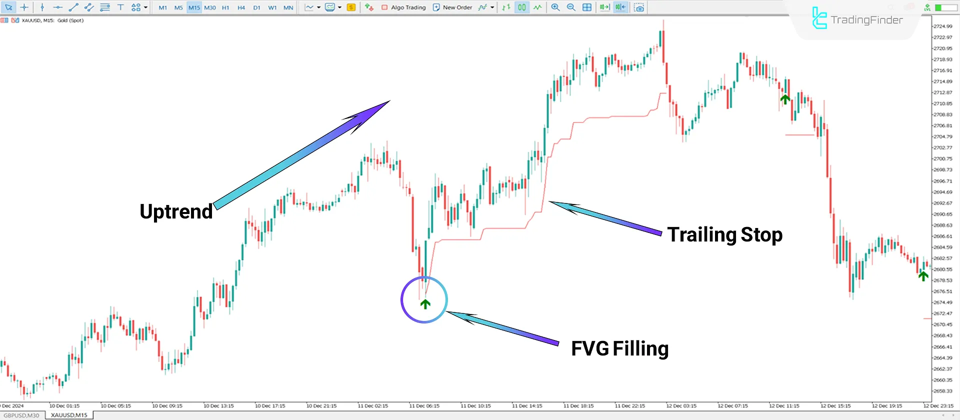 Displaying indicator elements on the MT5 platform