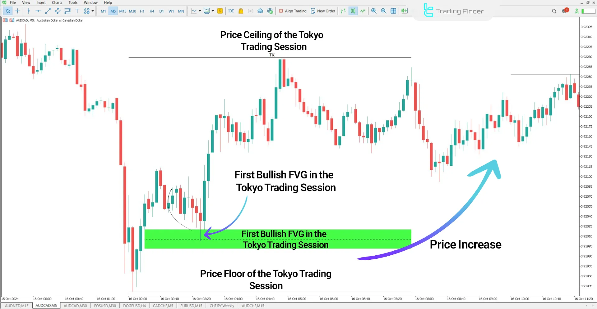 FVG Session Intraday Indicator in an Uptrend