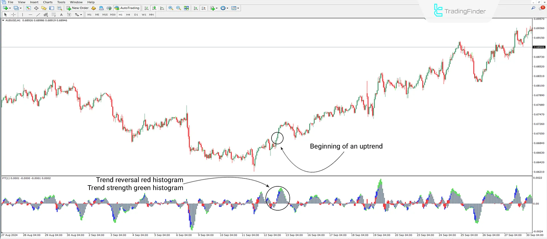 Bullish Signal